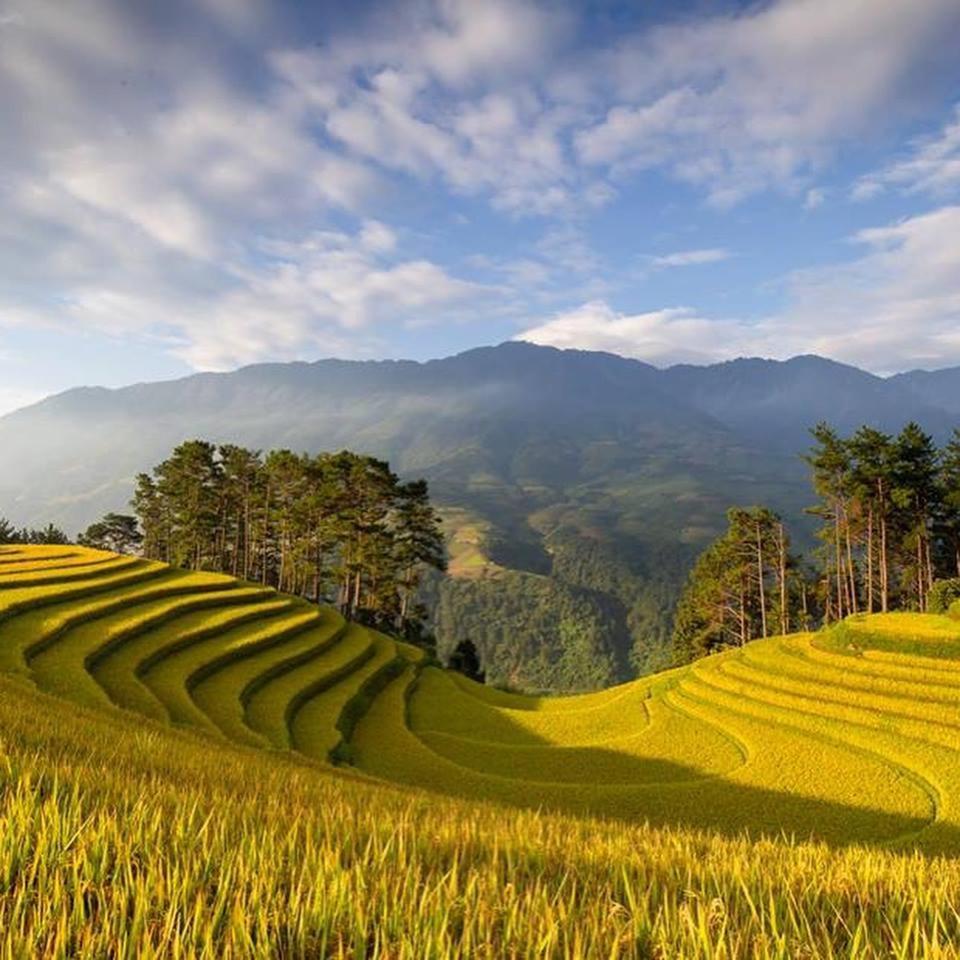 Готель Khach San Sapa Ngay Nay Екстер'єр фото