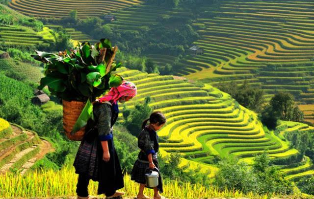 Готель Khach San Sapa Ngay Nay Екстер'єр фото